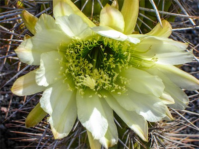DSC00333.jpg