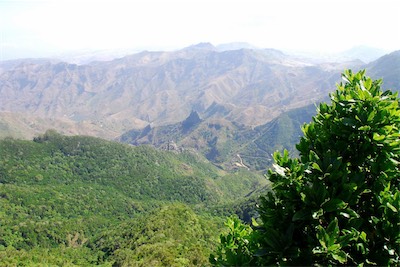 dsc_5383.jpg
