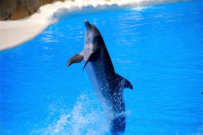 dsc_4983.jpg