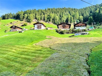 IMG_5804.jpg