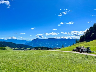 IMG_6041.jpg