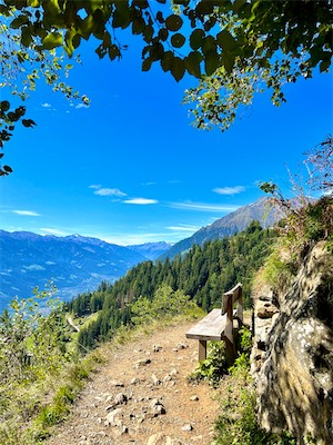 IMG_6120.jpg