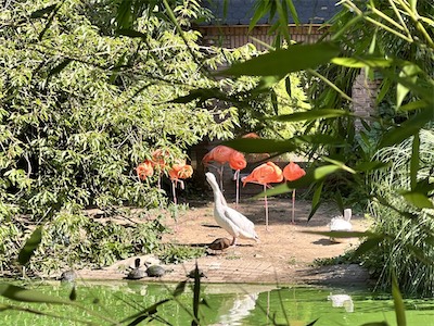 IMG_8637.jpg