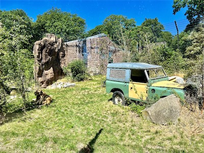 IMG_8666.jpg