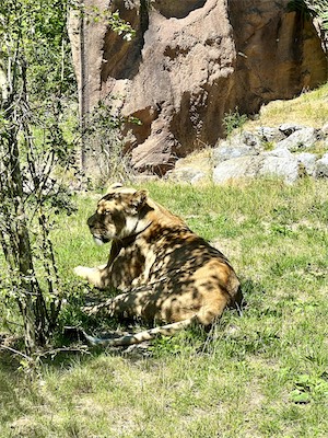 IMG_8668.jpg