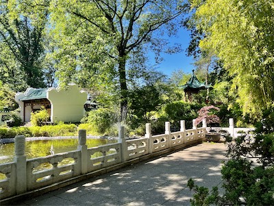 IMG_8676.jpg