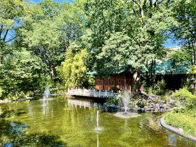 IMG_8684.jpg
