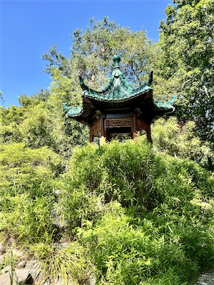 IMG_8691.jpg