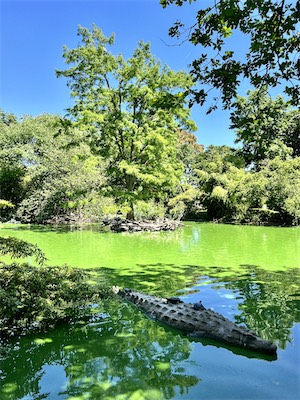 IMG_8713.jpg