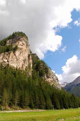 dsc_8198.jpg