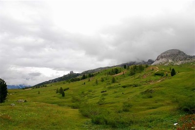 dsc_8206.jpg