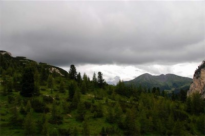 dsc_8208.jpg