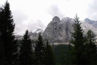 dsc_8227.jpg