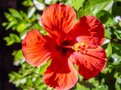 DSC01053.jpg