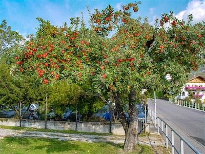 DSC01447.jpg