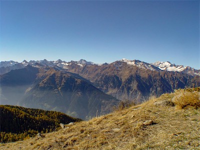 DSC01533.jpg