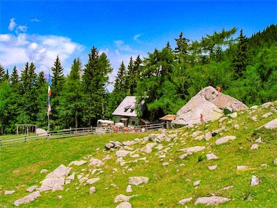 DSC02017.jpg