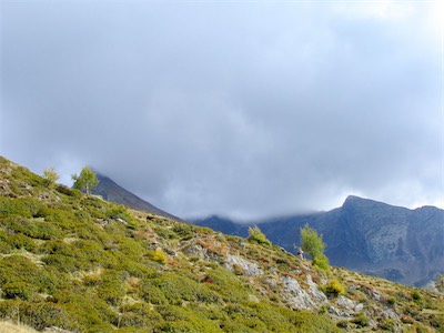DSC00723.jpg