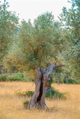 DSC_0837.jpg