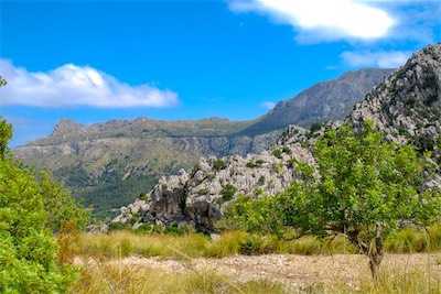 DSC_0864.jpg