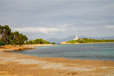 DSC_0914.jpg