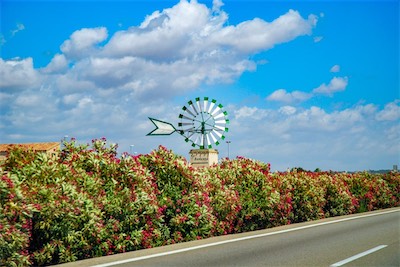 DSC_1227.jpg