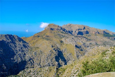 DSC_1382.jpg