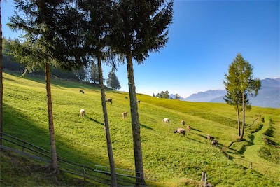 DSC_1942.jpg