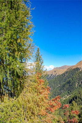 DSC_1955.jpg
