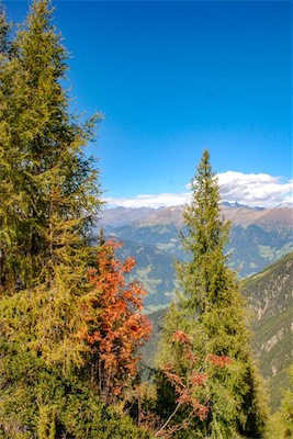 DSC_1958.jpg
