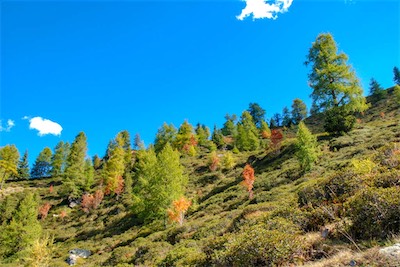 DSC_1961.jpg