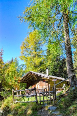 DSC_2007.jpg