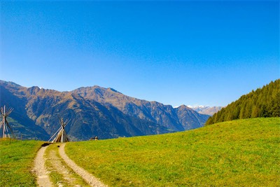 DSC_2010.jpg
