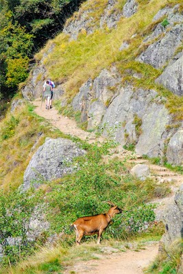 DSC_2029.jpg