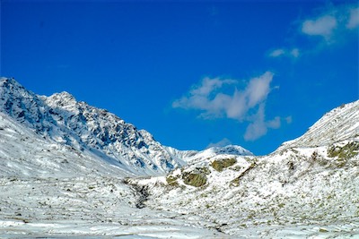 DSC_2153.jpg