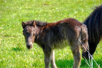 DSC_3352.jpg