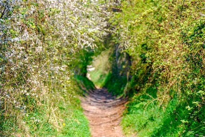DSC_3353.jpg