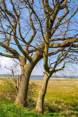 DSC_3361.jpg
