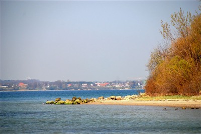 DSC_3372.jpg