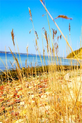 DSC_3375.jpg