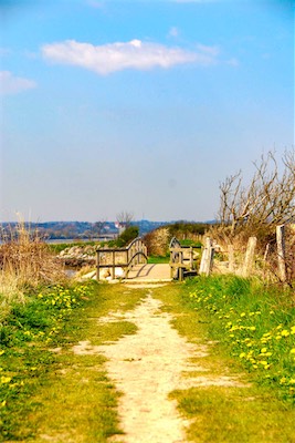 DSC_3385.jpg