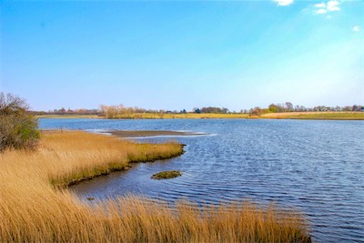 DSC_3389.jpg