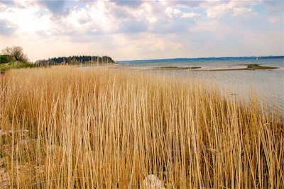 DSC_3399.jpg