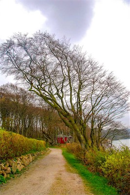 DSC_3443.jpg
