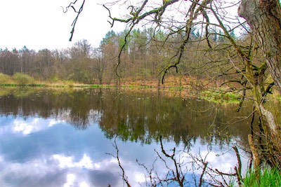DSC_3453.jpg