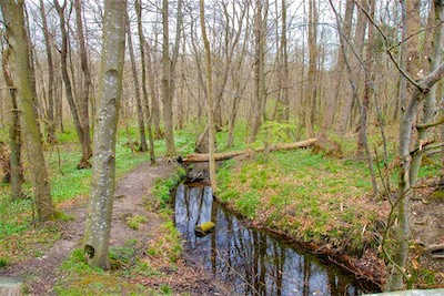 DSC_3460.jpg