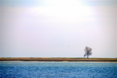 DSC_3498.jpg