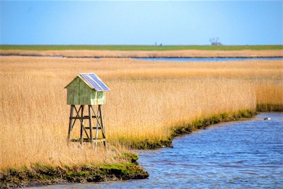 DSC_3499.jpg