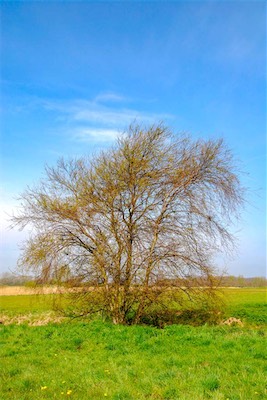 DSC_3500.jpg