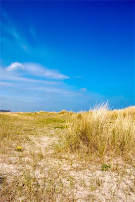 DSC_3510.jpg